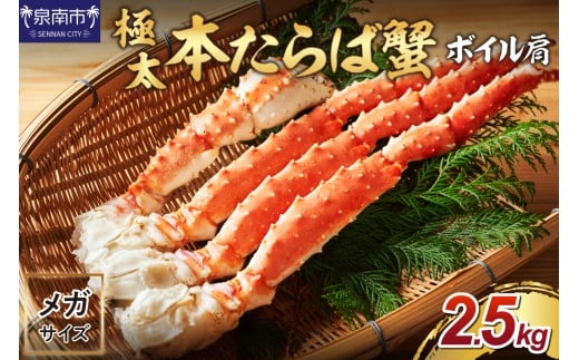 【1肩約2.5kgの超極太10L以上メガサイズ】本たらば蟹 ボイル肩 約2.5kg 折れなし選別【087B-031】大阪府泉南市68000魚介・海産物カニ