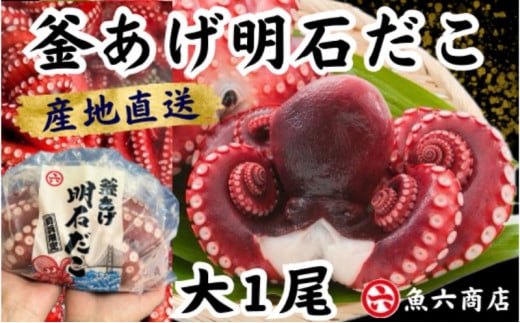 ほんまにうまい 釜あげ明石だこ 大 1尾兵庫県明石市15000魚介・海産物イカ・タコ・ウニ
