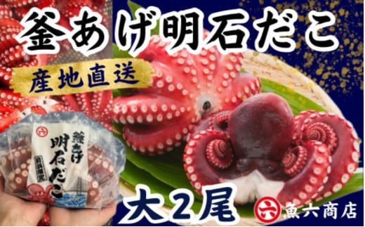 ほんまにうまい 釜あげ明石だこ 大 2尾兵庫県明石市25000魚介・海産物イカ・タコ・ウニ