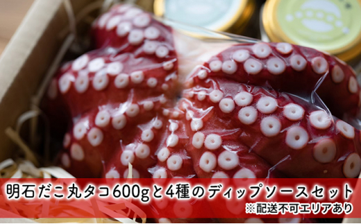明石だこ丸タコ600gと4種のディップソースセット兵庫県明石市30000魚介・海産物イカ・タコ・ウニ