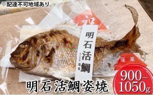 Ίp 900`1050g[ Α  đ j j ]ɌΎs25000ECYN