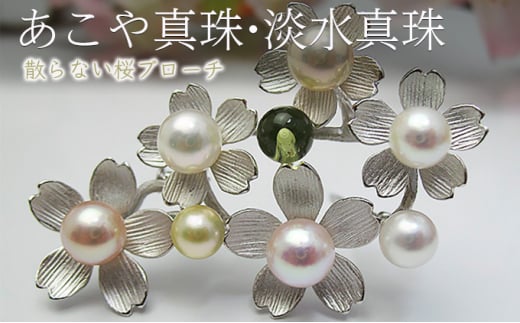 fromseaの散らない桜ブローチNo.2 あこや真珠・淡水真珠兵庫県明石市107000衣類・装飾品・工芸品アクセサリー