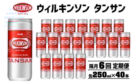 【隔月6カ月定期便】ウィルキンソン タンサン 250ml缶 20本×2ケース 飲料 炭酸水 ウィルキンソン炭酸 炭酸飲料 本格炭酸水 ソーダ水 災害 防災 備蓄 非常用 明石市 兵庫県兵庫県明石市84000お