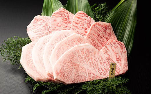 OgR勍̃T[CXe[L@@5 Ɍ OgRs Y X  n̓ ґ O ɌOgRs110000