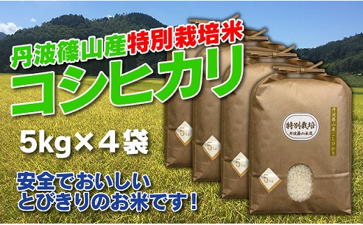 【令和7年産】お米のおいしさ伝えたい!特別栽培米コシヒカリ5kg×4 兵庫県 丹波篠山市 白米 100%単一原料米 産地直送米 おいしい お米 精米 コシヒカリ ブランド おこめ 健康  おすすめ 人