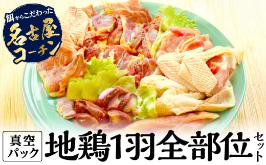 名古屋コーチン丹波ささやま地鶏1羽全部位セット 兵庫県 丹波篠山市 鶏肉 とり肉 鳥肉 チキン 地鶏 やきとり グルメ 美味しい 冷凍配送 冷凍食品兵庫県丹波篠山市45000肉鶏肉