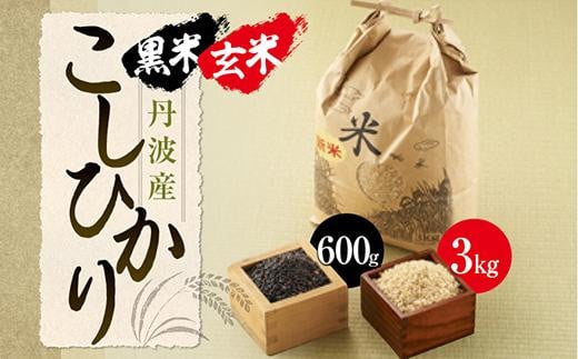 yāzOgYЂ茺āsߘa7NxYt3kg@300g×2 Ɍ OgRs ܂ 100Pꌴ Yn    RVqJ uh  N Mtg j