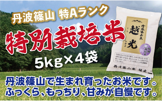【令和7年産】丹波篠山産 特Aランク 特別栽培米 越光(5kg×4袋) 兵庫県 丹波篠山市 白米 100%単一原料米 産地直送米 おいしい お米 精米 コシヒカリ ブランド おこめ 健康  おすす