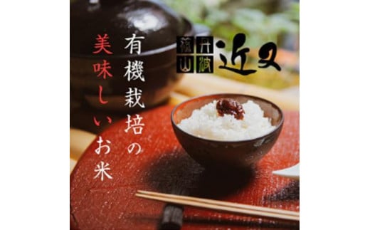 ߘa6NYyL@͔|āzOgRYRVqJ 2kg Ɍ OgRs  100Pꌴ Yn     RVqJ uh  N Mtg j 蕨  