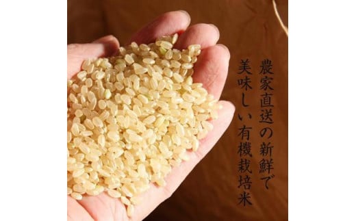 令和6年産新米【有機栽培米】丹波篠山産コシヒカリ 玄米 5kg 兵庫県 丹波篠山市 げんまい 100%単一原料米 産地直送米 贈答 おいしい お米 コシヒカリ ブランド おこめ 健康 ギフト 内祝い