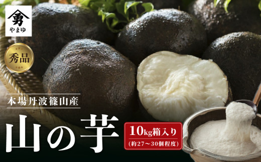 丹波篠山産 山の芋 秀品 10kg箱 新物 令和5年産 兵庫県 丹波篠山市 やまのいも ねばねば 特産 滋味 粘り 食物繊維 健康兵庫県丹波篠山市84000野菜・きのこその他 野菜