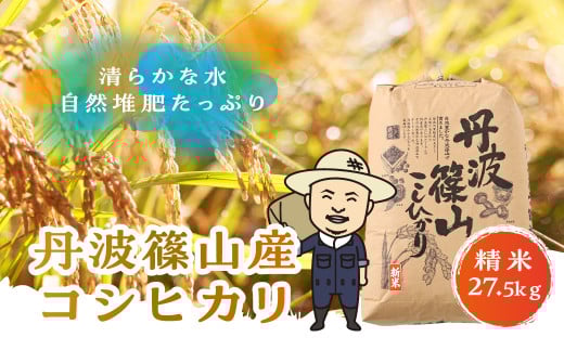 【令和6年産新米】丹波篠山産コシヒカリ 白米 27.5kg 兵庫県 丹波篠山市 白米 100%単一原料米 産地直送米 贈答 おいしい お米 精米 コシヒカリ ブランド おこめ 健康 ギフト 内祝い 贈り物  お