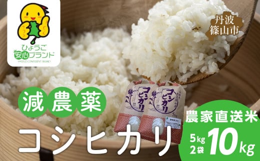 【令和7年産】大自然で育てた「コシヒカリ」10kg(5kg x 2) 兵庫県 丹波篠山市 白米 100%単一原料米 産地直送米 贈答 おいしい お米 精米 コシヒカリ ブランド おこめ 健康 ギフト 内祝い 贈り物