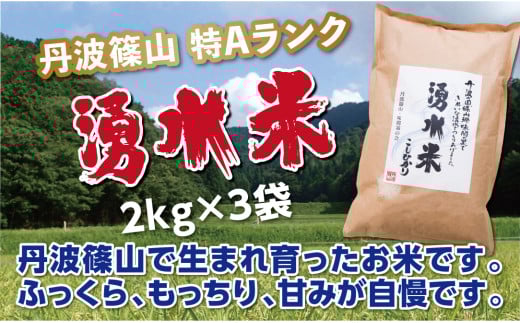 【令和7年産】丹波篠山産 特Aランク 湧水米(わきみずまい)2kg×3袋 兵庫県 丹波篠山市 白米 100%単一原料米 産地直送米 おいしい お米 精米 コシヒカリ ブランド おこめ 健康  おすす