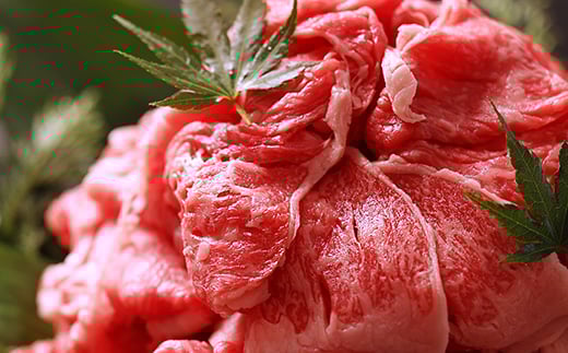 丹波篠山肉の東門 お助け便利スライス切り落とし 小分けちゃん300g×4パック 兵庫県 丹波篠山市 産直 精肉店直送 高級 ハレの日 贅沢 グルメ 美味しい 冷凍配送 冷凍食品兵庫県丹波篠山市