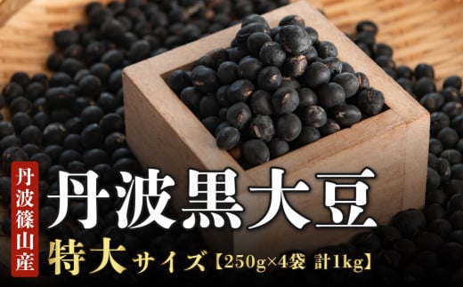 【新物 令和7年産】丹波篠山産 丹波黒大豆 特大サイズ 兵庫県 丹波篠山市 乾物 黒豆 丹波黒 おせち用 煮豆 グルメ 高級 ブランド兵庫県丹波篠山市21000野菜・きのこ豆類
