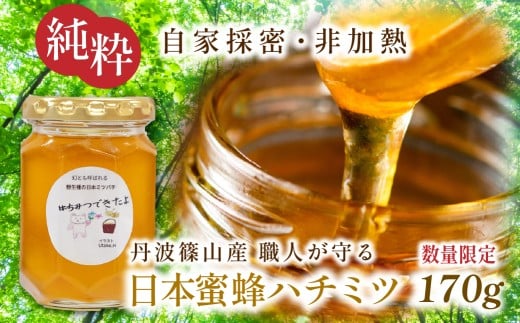 【限定数量】職人が守る幻の日本蜜蜂ハチミツ 非加熱 国産 純粋 170g │ 兵庫県 丹波篠山市 天然 はちみつ 無加工 生はちみつ ニホンミツバチ 日本蜜蜂 日本ミツバチ 蜂蜜 ハチミツ 純粋 非