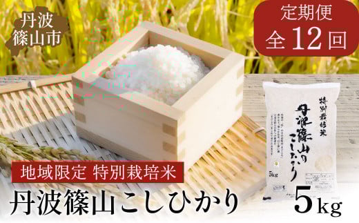 【定期便】※令和7年 新米予約※特Aランク特別栽培米 コシヒカリ 5kg(全12回) 兵庫県 丹波篠山市 白米 100%単一原料米 産地直送米 贈答 おいしい お米 精米 コシヒカリ ブランド おこめ