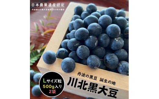 【新物 令和7年産 令和7年12月中旬以降発送 】川北黒大豆 Lサイズ粒 500g×2袋 兵庫県 丹波篠山市 乾物 黒豆 丹波黒 おせち用 煮豆 グルメ 高級 ブランド兵庫県丹波篠山市16000野菜・きのこ豆