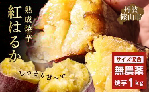 【先行予約】焼き芋 壺焼き 紅はるか 500g×2袋 1kg 訳あり 規格外 サイズ混合 さつまいも サツマイモ さつま芋 甘い ホクホク 焼き芋 焼芋 焼いも おいしい 美味しい ねっとり 食物繊維