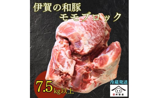 OdY ɉ̘a ubN 7.5kg@Yؓ ύݗ Ă uߕ ƒ뗿 Ɩp ē `[V[ _炩 W[V[ e Ԑg ᎉb wV[ɌOgRs240