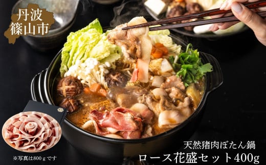 ڂ烍[XԐZbg 400 (2`3lO) OgR̘V T݂ [n̓AɂЁI]ŐgSIX_t Ɍ OgRs  ̂ WrG