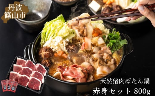 ڂ Ԑg Zbg(Ⓚ) 800g (4`5lO) Ɍ OgRs  ̂ WrG Ε Ε   n̓  c Mtg j v[g 蕨 Ⓚz