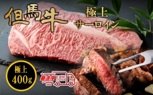 但馬牛サーロインステーキ 400g(200g×2枚) 但馬牛 サーロインステーキ 高級和牛 ステーキ 肉 ギフト 冷凍 小分け 大容量兵庫県丹波篠山市25000肉牛肉