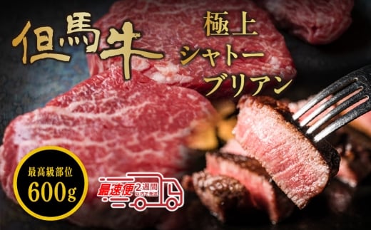 但馬牛 シャトーブリアン 150g×4個 600g 但馬牛 シャトーブリアン 高級和牛 シャトーブリアン ギフト 肉 小分け 冷凍 大容量兵庫県丹波篠山市63000肉牛肉
