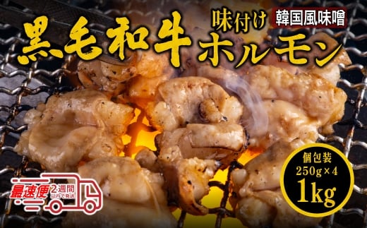 国産黒毛和牛 タレ漬けホルモンミックス 韓国味噌ダレ 250g x 4袋 焼肉用 ホルモン 肉 小分け 冷凍 ギフト兵庫県丹波篠山市17000肉牛肉