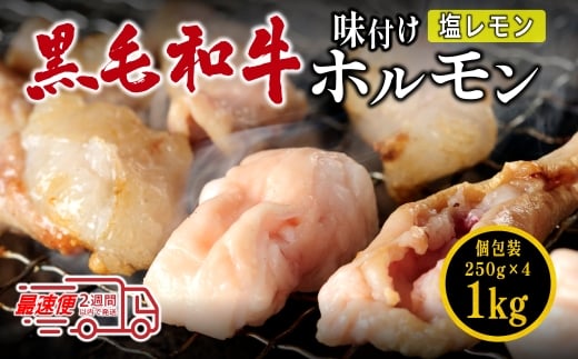 国産黒毛和牛 タレ漬けホルモンミックス塩レモン 250g x 4袋 焼肉用 ホルモン 肉 小分け 冷凍 ギフト 大容量兵庫県丹波篠山市17000肉牛肉