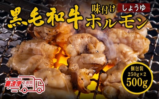 国産黒毛和牛 タレ漬けホルモンミックスしょうゆ250g x 2袋 焼肉用 ホルモン 肉 小分け 冷凍 ギフト 大容量兵庫県丹波篠山市13000肉牛肉