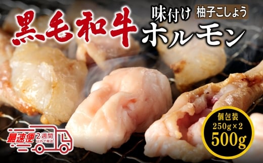 国産黒毛和牛 タレ漬けホルモンミックス柚子胡椒250g x 2袋 焼肉用 ホルモン 肉 小分け 冷凍 ギフト 大容量兵庫県丹波篠山市13000肉牛肉