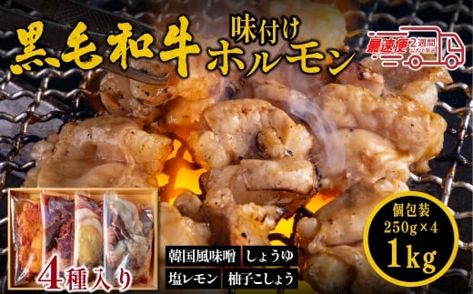 国産黒毛和牛 タレ漬けホルモンミックス4種 韓国風味噌・塩レモン・柚子胡椒・しょうゆ 各250gx4種 焼肉用 ホルモン 小分け 冷凍 ギフト 大容量兵庫県丹波篠山市17000肉牛肉