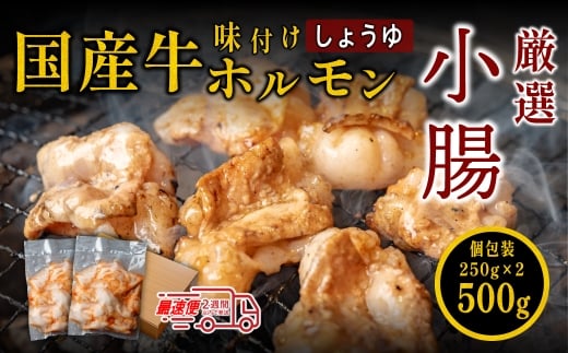 小腸セット 特製自家製しょうゆダレ漬け 250gx2袋 500g ホルモン しょうちょうセット 焼肉用 肉 ダレ付き 小分け 冷凍 ギフト 大容量兵庫県丹波篠山市14000肉牛肉