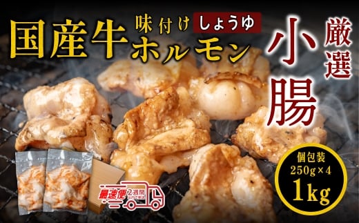 小腸セット 特製自家製しょうゆダレ漬け 250gx4袋 1kg ホルモン しょうちょうセット 焼肉用 肉 ダレ付き 小分け 冷凍 ギフト 大容量兵庫県丹波篠山市22000肉牛肉