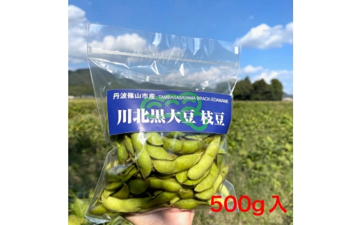 令和7年産 2025年10月収穫 川北黒大豆枝豆 さや豆500g入×5袋 プレミアム枝豆 期間限定 黒枝豆 えだまめ エダマメ お取り寄せグルメ 高級 特産品 名産品 おつまみ おうち居酒屋兵庫県丹波篠