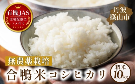 合鴨米 有機JAS認定 無農薬 栽培 コシヒカリ精米 10kg ( 5kg × 2)│兵庫県 丹波篠山 お米 米 コメ こめ こしひかり 安全・安心 有機栽培 無農薬 有機 JAS 農家直送 あいがも 合鴨農法兵庫県丹波