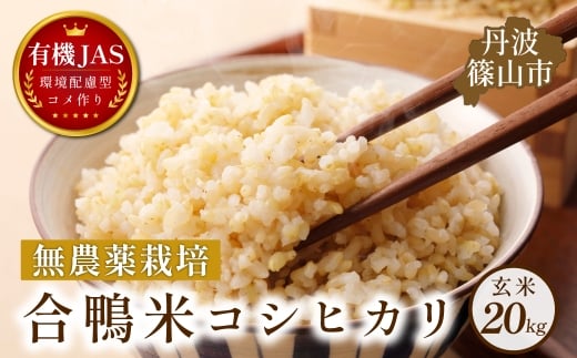 合鴨米 有機JAS認定 無農薬栽培 コシヒカリ 玄米 20kg ( 5kg × 4袋 )│兵庫県 丹波篠山 玄米 お米 米 コメ こめ こしひかり 安全・安心 有機栽培 無農薬 有機 JAS 農家直送 あいがも 合鴨農法 玄米