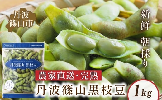 丹波黒枝豆 さや 丹波篠山産 完熟枝豆 1kg 500g×2袋 農家直送 小分け【季節限定 おつまみ 枝豆 えだまめ 黒豆 ご当地グルメ 特産品】兵庫県丹波篠山市8000野菜・きのこ豆類