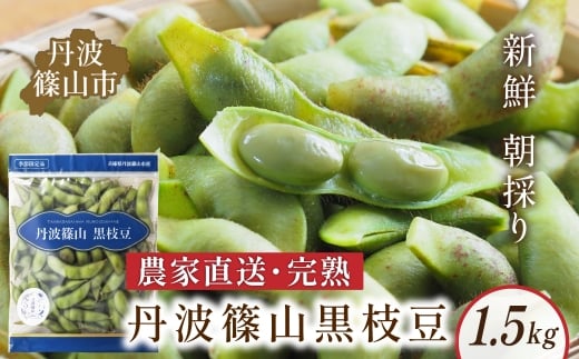 丹波黒枝豆 さや  丹波篠山産 完熟枝豆 1.5kg 500g×3袋 農家直送 小分け 数量 選べる【季節限定 おつまみ 枝豆 えだまめ 黒豆 ご当地グルメ 特産品】兵庫県丹波篠山市12000野菜・きのこ豆類