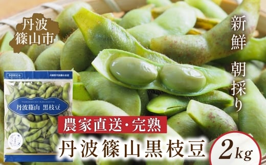 丹波黒枝豆 さや  丹波篠山産 完熟枝豆 2kg 500g×4袋 農家直送 小分け 数量 選べる【季節限定 おつまみ 枝豆 えだまめ 黒豆 ご当地グルメ 特産品】兵庫県丹波篠山市16000野菜・きのこ豆類