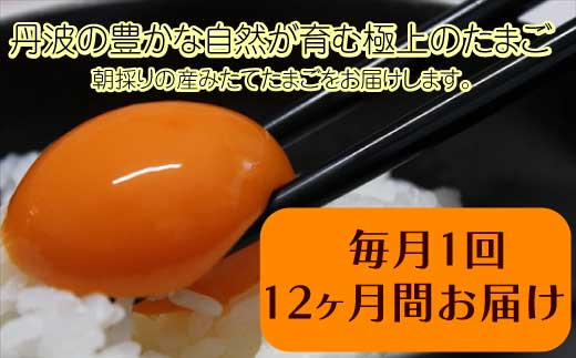 【12ヶ月定期便】「村上さん家のせせらぎ卵」 45個+5個破卵補償 (計50個)兵庫県丹波市100000卵・乳製品卵(鶏、烏骨鶏等)