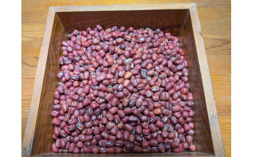 有機JAS認定・丹波市産 大納言小豆800g兵庫県丹波市10000野菜・きのこ豆類