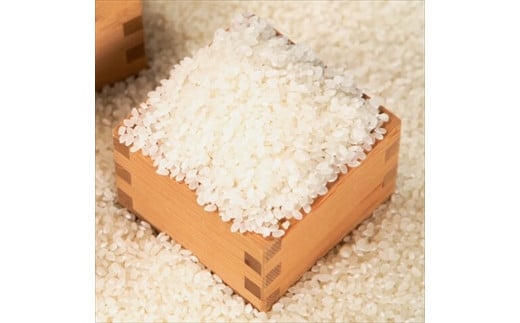 【 6ヶ月定期便 】丹波コシヒカリ  (10kg × 6袋)兵庫県丹波市200000米・パン白米
