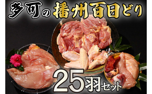 ̔dBSǂ25HZbg[010] {  ނ˓  H H   25H dBSǂ ։\ ①Ɍ330000{