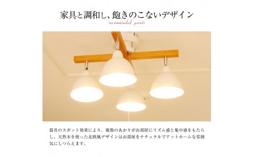 V[OCgvXCb` KMC-4321 zCg VƖ LEDFt[576]Ɍ55000diƓd