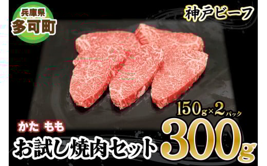 _˃r[t ēZbg TKYS1(300g)[878] _ˋɌ11000