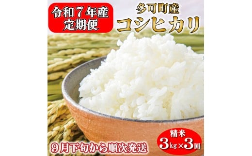 yցzߘaVNY  Rkg×R RVqJ  ɌY [1237]Ɍ24000āEp