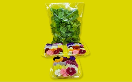 [5359-0041]yBZbgzGfBut[(20)3pbN T_N\(80g) Hp Hׂ  a v[g t Hp َqyzBsFzɌd12000